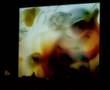 DEADBEAT / NIKO STUMPO - mediaterrae - avellino