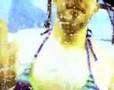 MLTV Bikini Carwash A