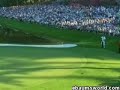 Tiger woods shot