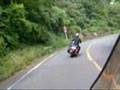 ハーレーツーリング-2002Harley-Davidson FXDL Dyna Low Rider-