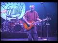The Mollusk - Ween Live