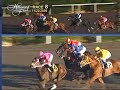 Talamo Wins Five, Including Moccasin Aboard Bickersons