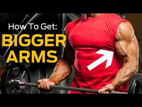 how to gain an inch on your arms
