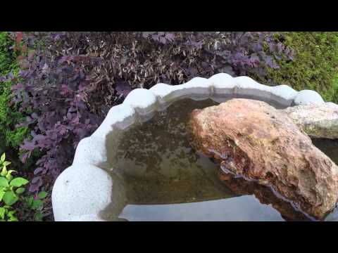 how to provide water for bees