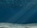 Underwater scene