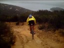 Elfin Forest