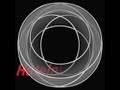 videos de Ring_1.flv