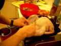 videos de Stuffing a turkey