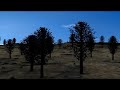 3D Landschaft 3D Landschaft