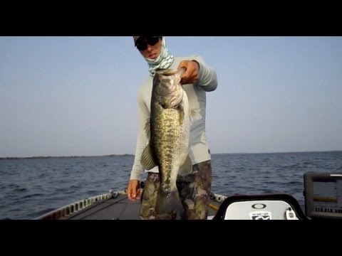 Bass in deep water