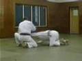 Tomiki Aikido Koryu No Kata (Dai Roku Part 1)