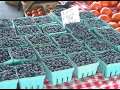 Blueberries