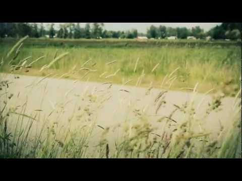 Mike Gouchie - Dont Touch the Radio - Official Music Video - dir by Gene Greenwood
