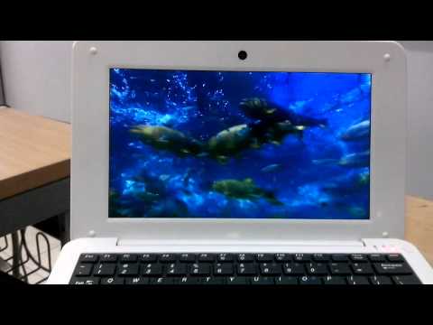 how to know if xserver is running