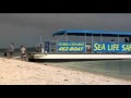 Sealife Safari Clearwater Florida