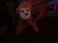 Kakinho em-A dança do créuu