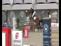 rodrigo pessoa/baloubet du rouet & ludger beerbaum/goldfever