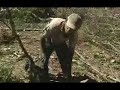 Série Cerrado - Ep.1 - Um ambiente ameaçado de extinção Série Cerrado - Ep.1 - Um ambiente ameaçado de extinção