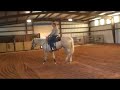 Jeanne Dial riding JMK Coolafella