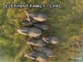Critters - Google Earth - details under (More info)