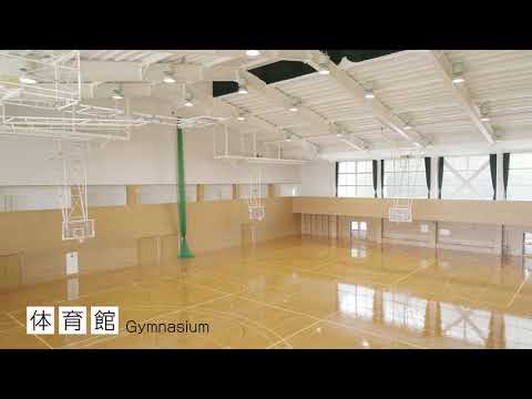 動画イメージ