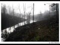 Travesty Crossing - Damn