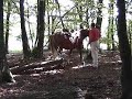 Heinz Welz longiert ein Pferd über einen Baumstamm (mehr: www.heinzwelz.de)