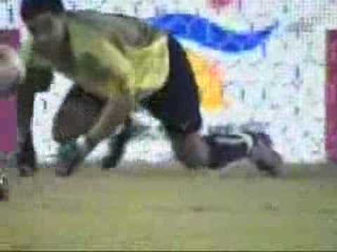 World Cup Soccer Goalie