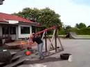 En blide (A trebuchet) En blide (A trebuchet)