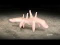 The abridged story of life on earth, as told through the medium of walking fingers. Created by Cyriak, of cows & cows & cows fame.