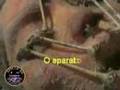 Assistir ao vídeo