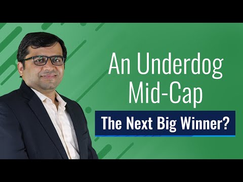 An Underdog Mid-Cap: The Next Big Winner?