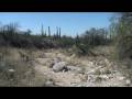 Saguaro National Park part 1 - YouTube