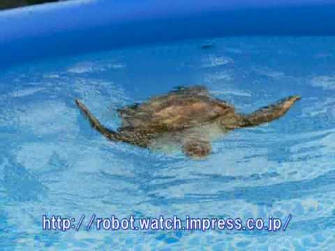 Robot Fish Teach Children About Ocean Life photo Robot Fish Teach Children About Ocean Life picture