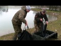 A couple of the big mirrors at Blackthorn Fishery