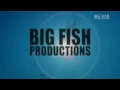 Whales, Dolphins and Seals - Big Fish Productions