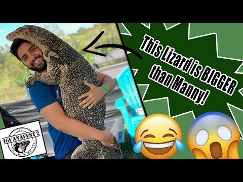 YouTube reptile video