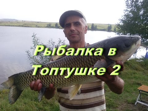 Топтушка алтайский край рыбалка Топтушка алтайский край рыбалка