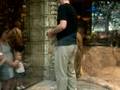MGM 根性のＬｉｏｎ　Ｈａｂｉｔａｔ　Ｆｅｅｄｉｎｇ
