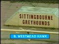 Sittingbourne Puppie Westmead Lark