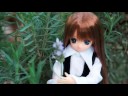 HIMENO