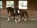 5 j. Wallach von Rubino Rosso x Donnerschlag