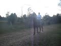 susie gaits.avi