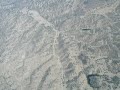 Flying with a hawk