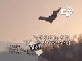 TRIBAL teaser