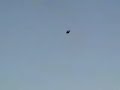هذا تصوير صيد حمام بالمزارع .. خوش رمي
