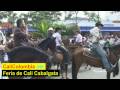 Feria de Cali - Horse Parade - Colombia