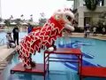 Penampilan barongsai di atas air dari...