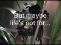 i love this song.. it's so sad.. ]=
