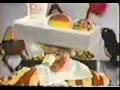 videos de Iklan Mc-D yang Pertama di dunia... wajib tonton...